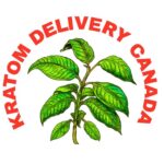 Kratom Delivery canada Toronto