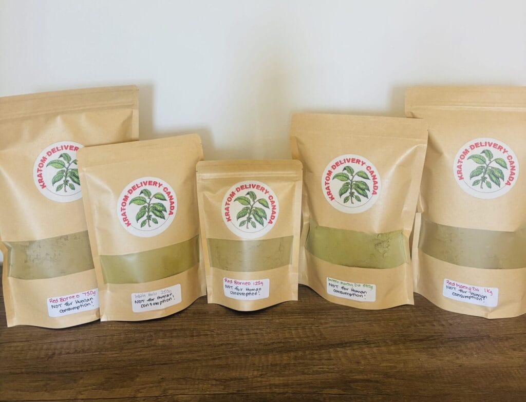 Five kraft Kratom Delivery Canada pouches lined up on a wooden table