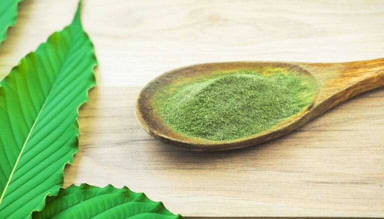 Green kratom powder in a spoon next to fresh leaves